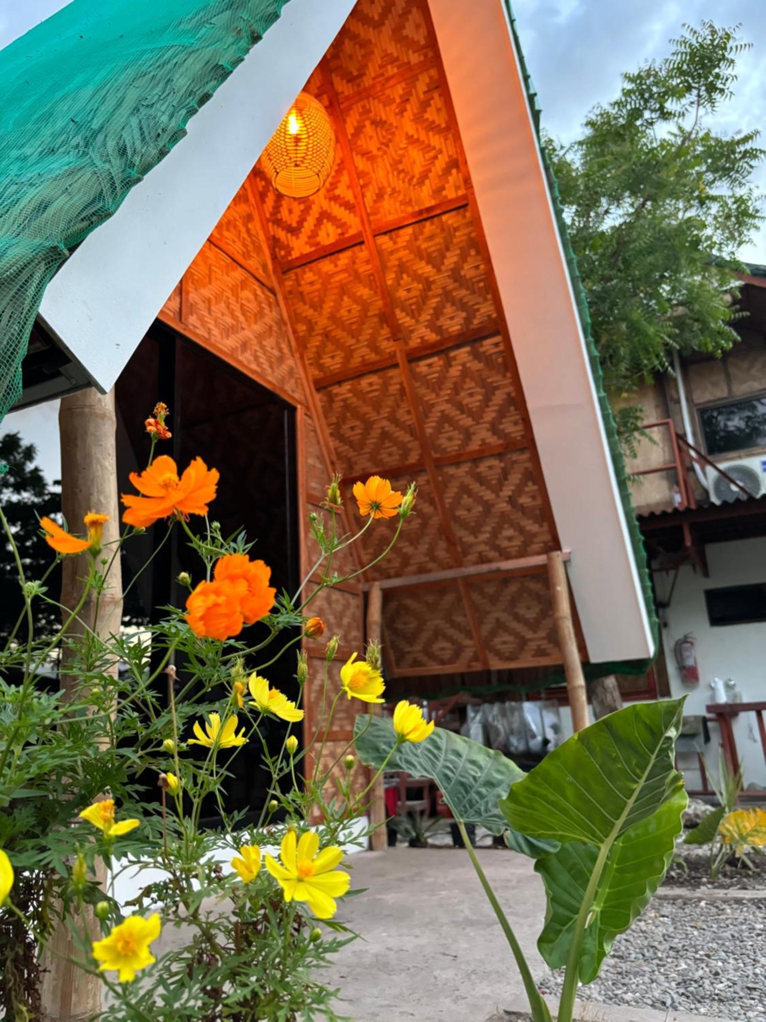 Villa Lovi Panagsama Beach Moalboal Exterior foto